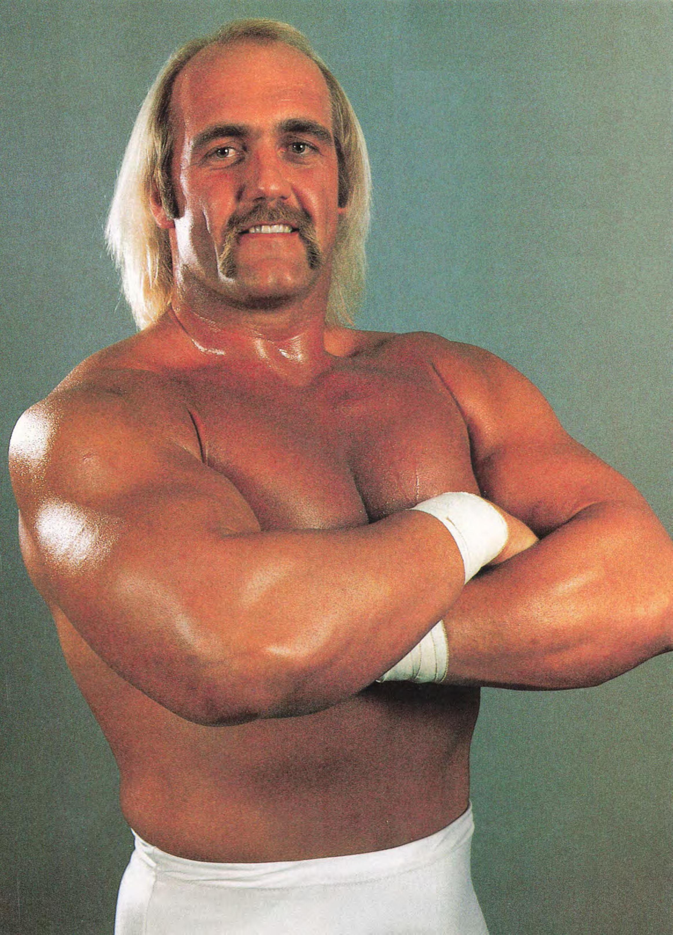 Hulk Hogan